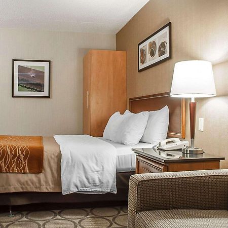 Comfort Inn Simcoe Ngoại thất bức ảnh