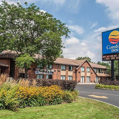 Comfort Inn Simcoe Ngoại thất bức ảnh
