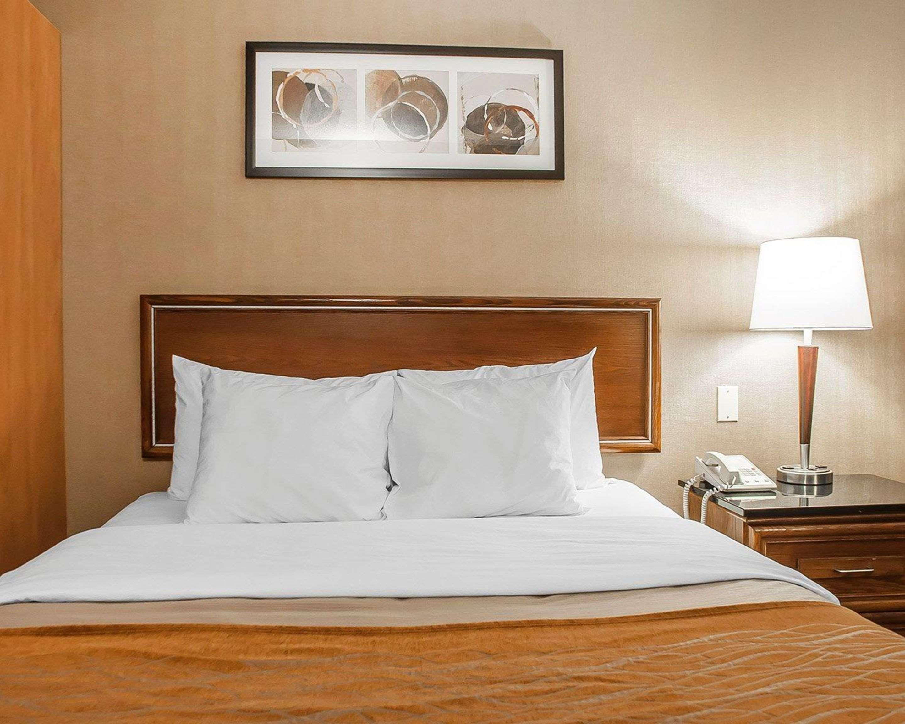 Comfort Inn Simcoe Ngoại thất bức ảnh