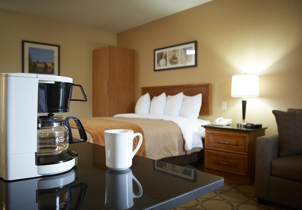 Comfort Inn Simcoe Ngoại thất bức ảnh
