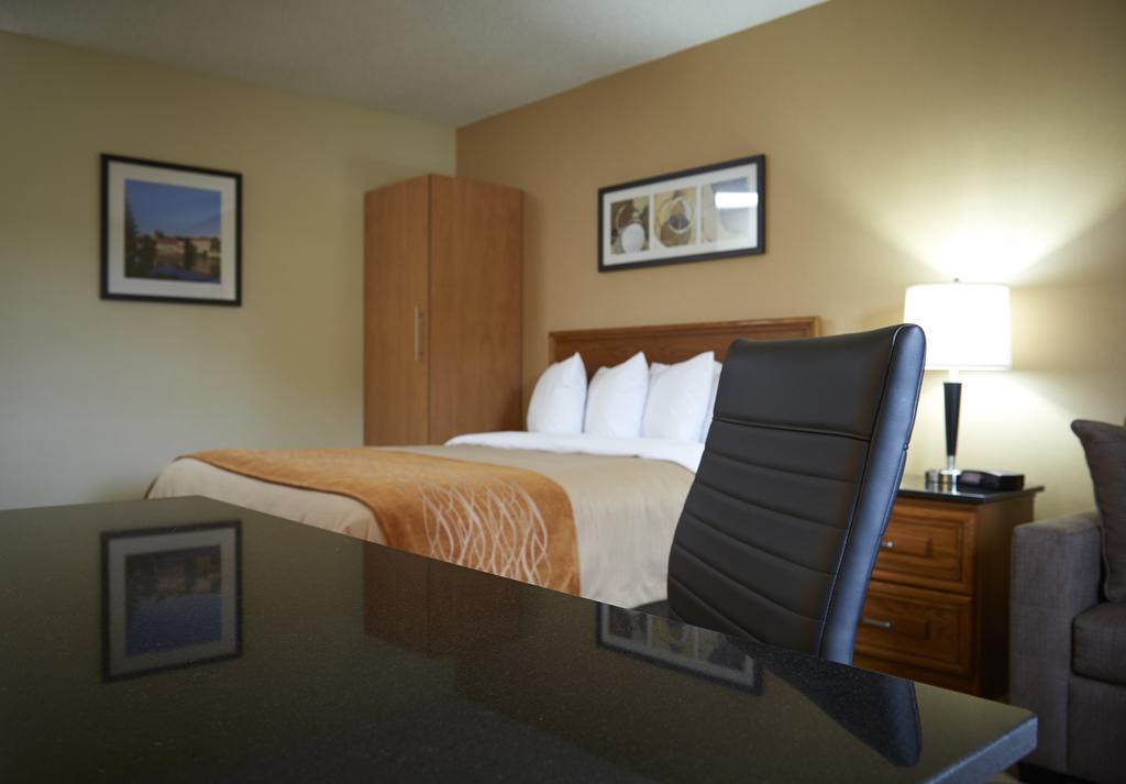 Comfort Inn Simcoe Ngoại thất bức ảnh