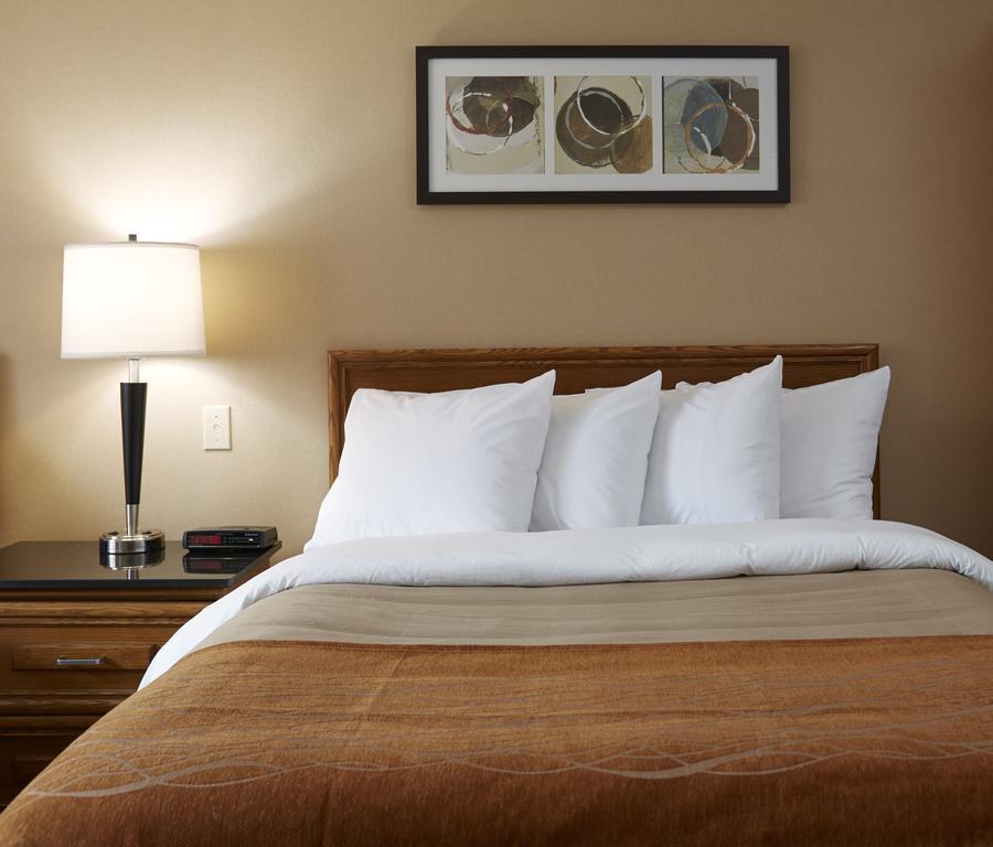 Comfort Inn Simcoe Ngoại thất bức ảnh