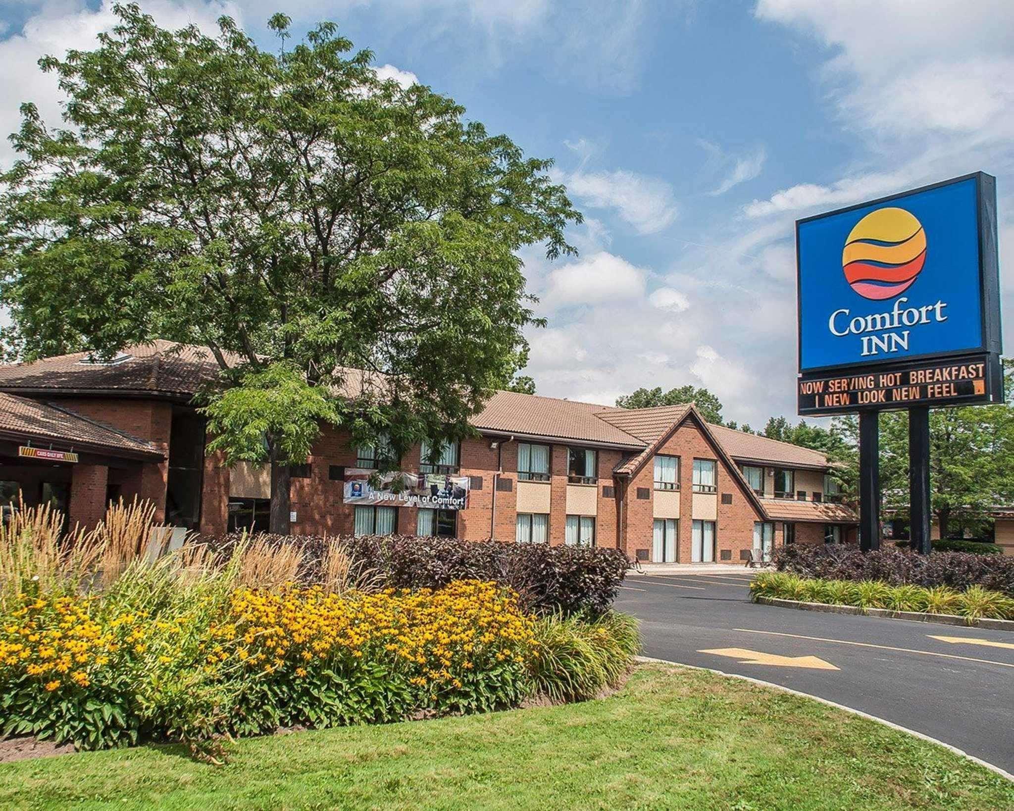 Comfort Inn Simcoe Ngoại thất bức ảnh