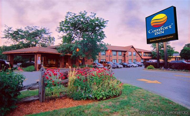 Comfort Inn Simcoe Ngoại thất bức ảnh