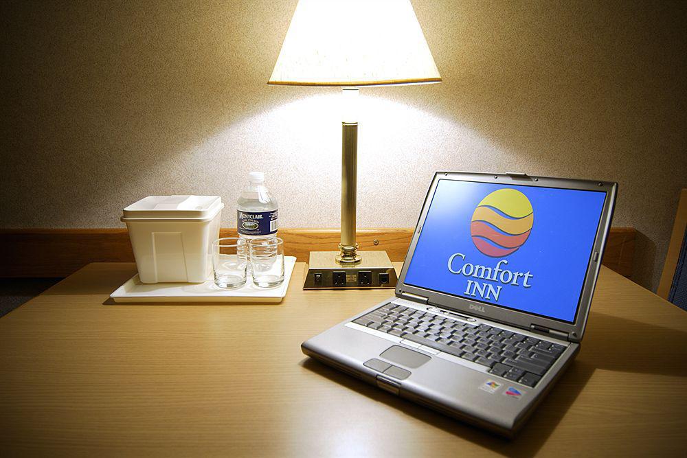 Comfort Inn Simcoe Ngoại thất bức ảnh